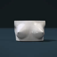Woman's Breast - Thumbnail 13
