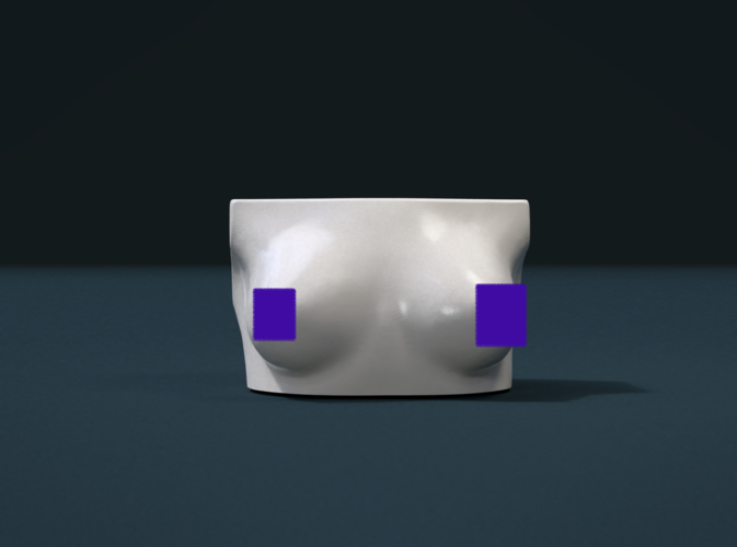 Woman's Breast