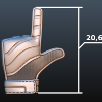 Goalkeeper Glove - Thumbnail 11