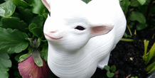 Image 212877
