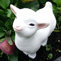 Smug goat - Thumbnail 1