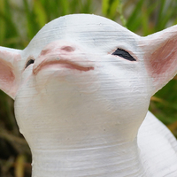 Small Smug goat 3D Printing 212878