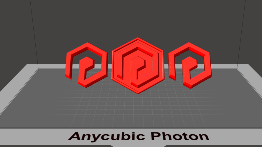 Anycubic Photon Validator Logo 3D Print 212991