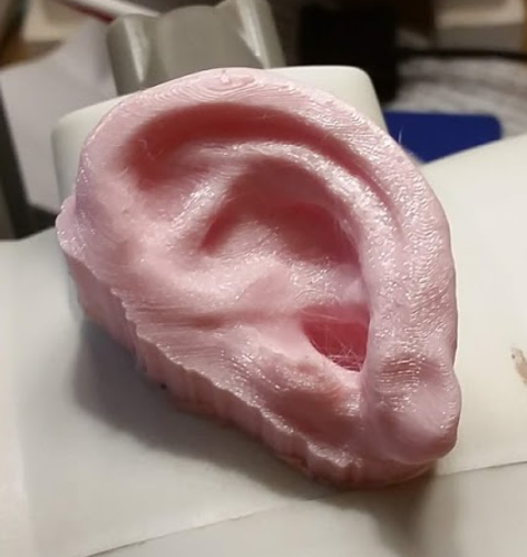 Human Ear Fridge Magnet 3D Print 213035
