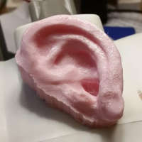 Small Human Ear Fridge Magnet 3D Printing 213035