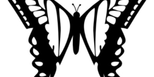 Image 213056