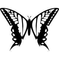Wall Butterfly  - Thumbnail 1