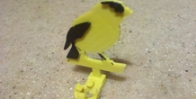 Image 213414