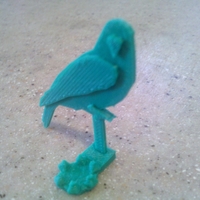 Bird Egg Holder Collection - Thumbnail 5