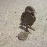 Bird Egg Holder Collection - Thumbnail 6