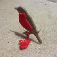 Bird Egg Holder Collection - Thumbnail 7