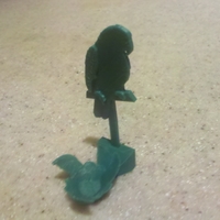 Bird Egg Holder Collection - Thumbnail 10