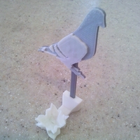 Bird Egg Holder Collection - Thumbnail 12