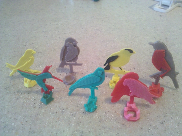 Bird Egg Holder Collection