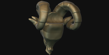 Image 213477