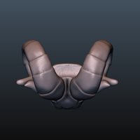 Ram head - Thumbnail 16