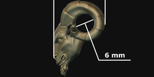 Image 213491