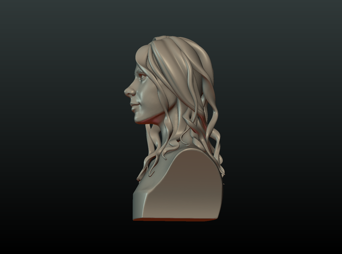 ​Woman Head and Hairstyle 3D Print 213732