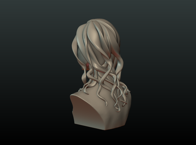 ​Woman Head and Hairstyle 3D Print 213734