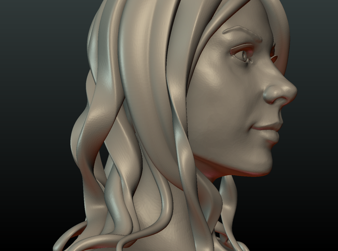 ​Woman Head and Hairstyle 3D Print 213737