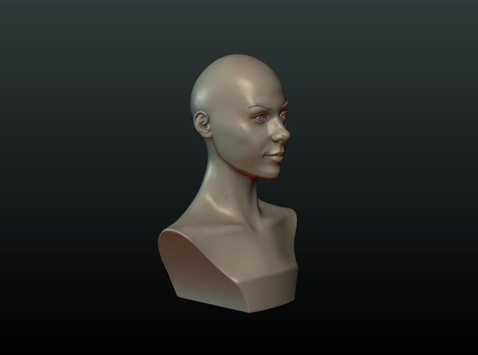​Woman Head and Hairstyle 3D Print 213741