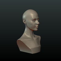 ​Woman Head and Hairstyle - Thumbnail 12