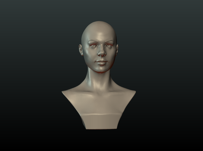 ​Woman Head and Hairstyle 3D Print 213742