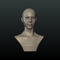 ​Woman Head and Hairstyle - Thumbnail 13