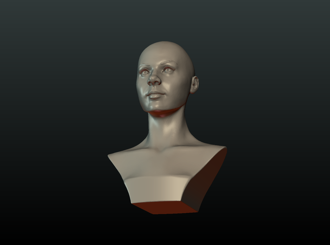 ​Woman Head and Hairstyle 3D Print 213743