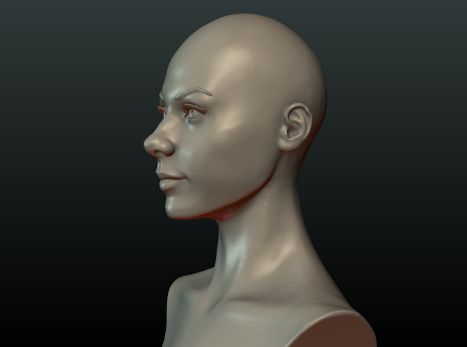 ​Woman Head and Hairstyle 3D Print 213744