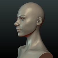 ​Woman Head and Hairstyle - Thumbnail 15