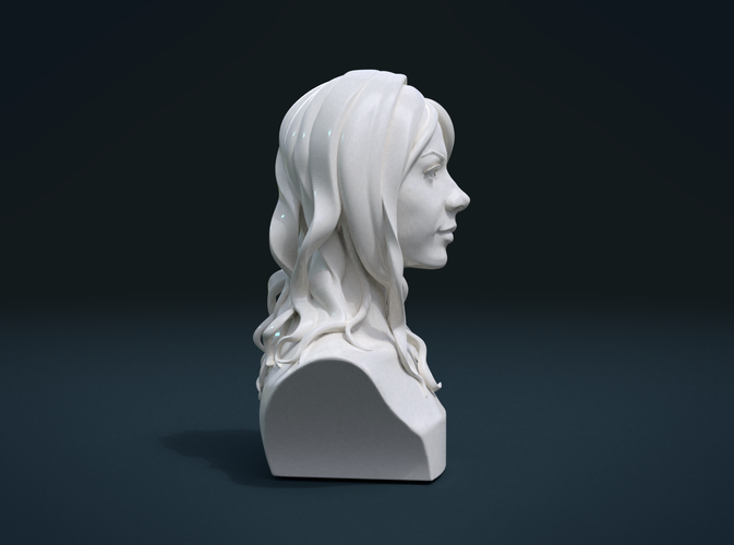 ​Woman Head and Hairstyle 3D Print 213752