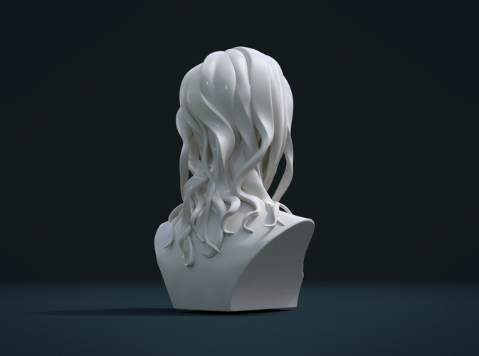 ​Woman Head and Hairstyle 3D Print 213753
