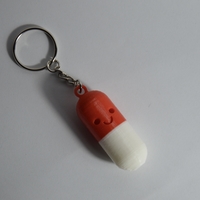 Small Pill Keychain 3D Printing 213769