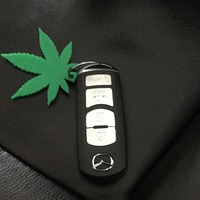 Small Cannabis Leaf Keychain 3D Printing 21387