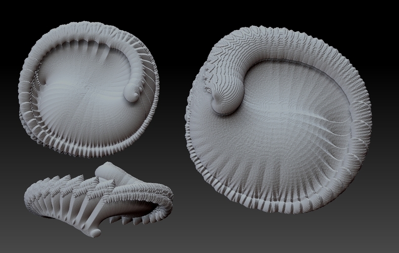 FeatherShell - a fractal curiosity 3D Print 213929
