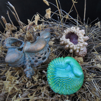FeatherShell - a fractal curiosity - Thumbnail 5