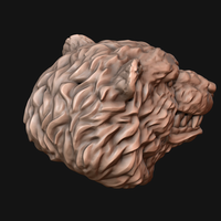 Bear head - Thumbnail 5