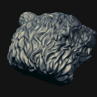 Bear head - Thumbnail 11
