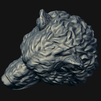 Bear head - Thumbnail 16
