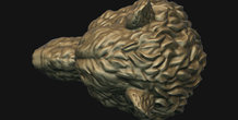 Image 214979
