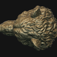 Bear head - Thumbnail 21