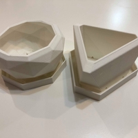 Potted plant - Thumbnail 2