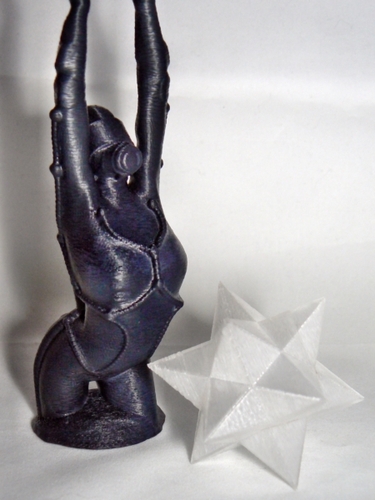 StarChaser 3D Print 21550