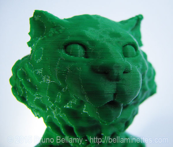 Colonel Chat Vert 3D Print 21553