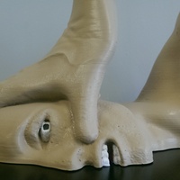 Smashed Head Model - Thumbnail 2