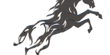 Image 216358