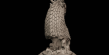 Image 216600