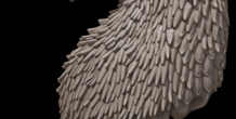 Image 216604