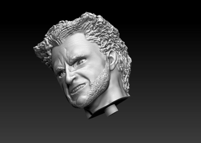 Wolverine bust of the X-MEN 3D Print 216836